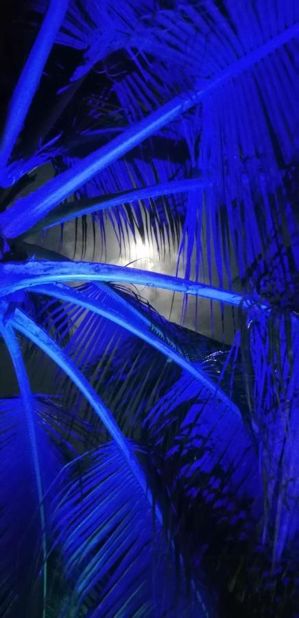 Little Pompeji Boutique Hotel - Adults Only Jambiani (Zanzibar) Exterior foto